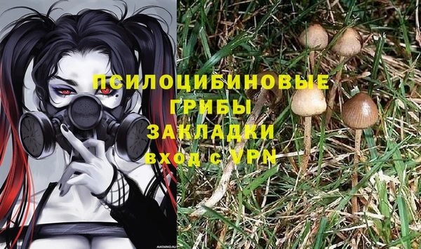 мдма Богородицк